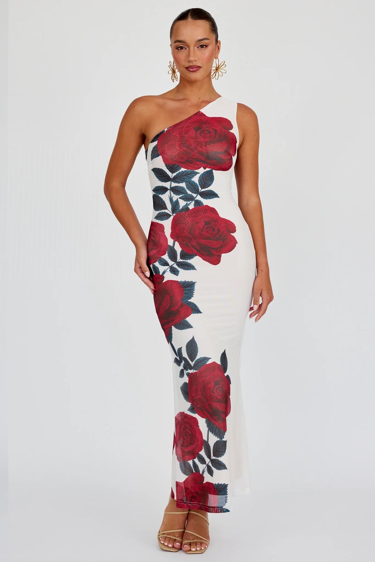 Desiree One Shoulder Mesh Maxi Dress Rose